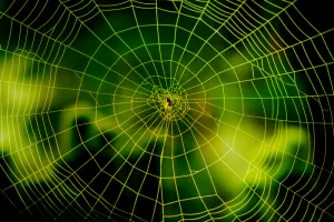 web